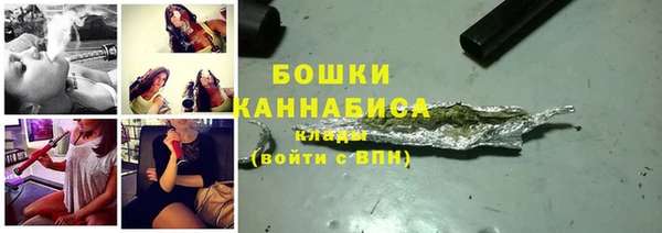 сатива Дмитриев