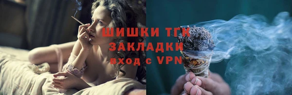 сатива Дмитриев