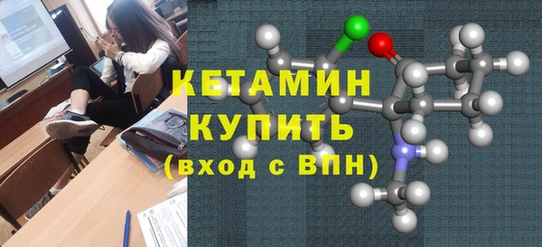 сатива Дмитриев