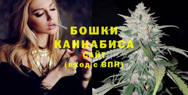 сатива Дмитриев