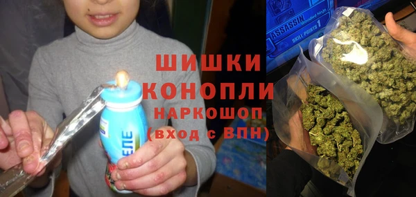 ПСИЛОЦИБИНОВЫЕ ГРИБЫ Ачинск