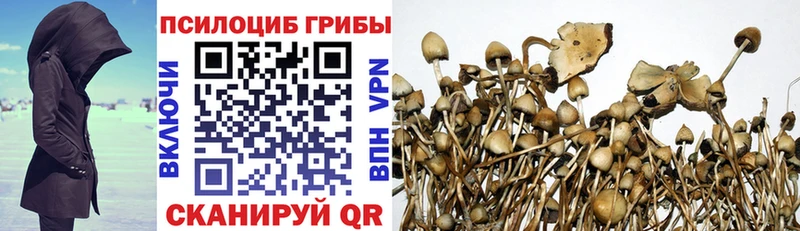 Купить где  Мариинск  Псилоцибиновые грибы Magic Shrooms 